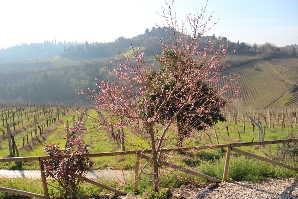 Agriturismo Torre Prima Holidays San Gimignano Exterior foto