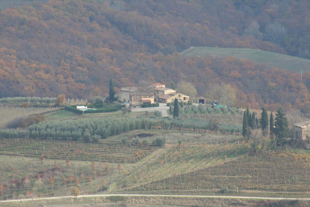 Agriturismo Torre Prima Holidays San Gimignano Exterior foto