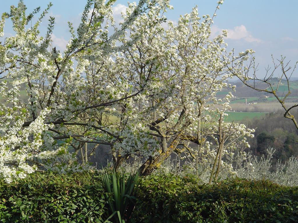 Agriturismo Torre Prima Holidays San Gimignano Exterior foto