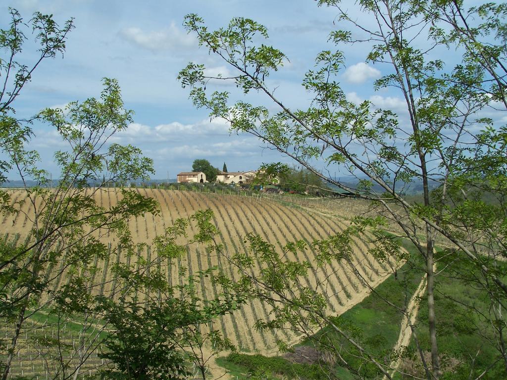 Agriturismo Torre Prima Holidays San Gimignano Exterior foto