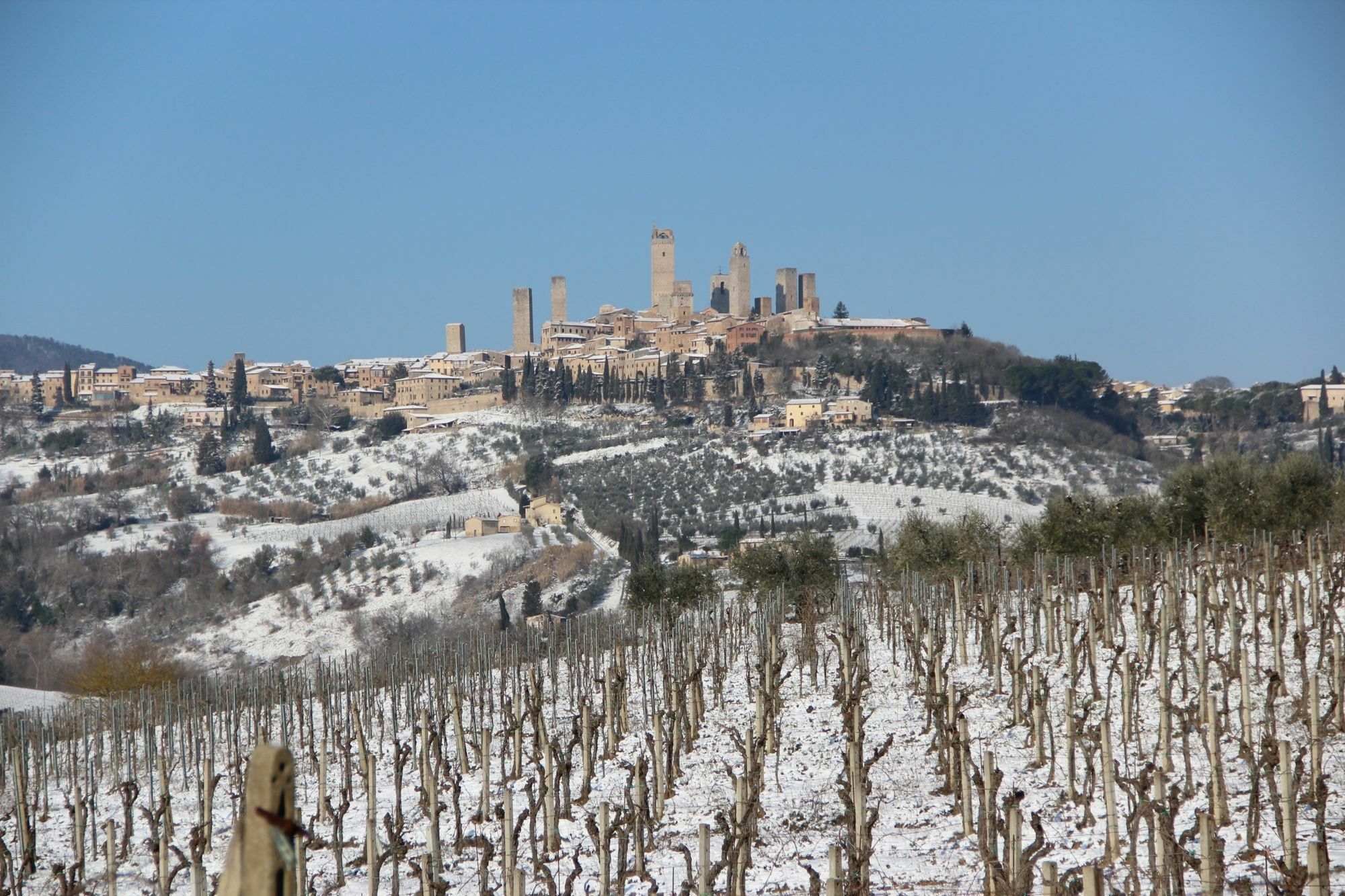 Agriturismo Torre Prima Holidays San Gimignano Exterior foto